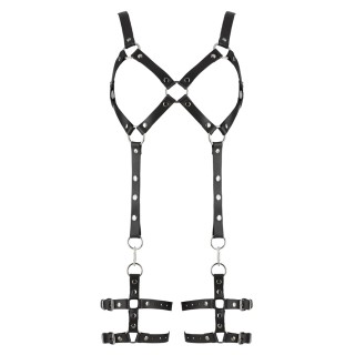 Leather Harness S/M - ZADO | Toy4Love