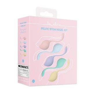 Pelvic Stem Kegel Kit - Multicolor - Loveline by Shots | Toy4Love
