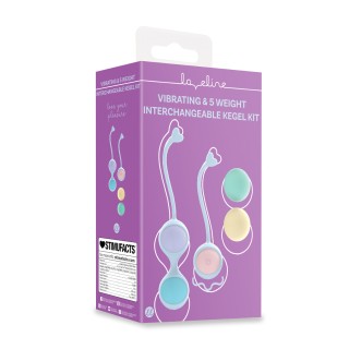Vibrating and 5 Weight Interchangeable Kegel Kit with Remote Control -