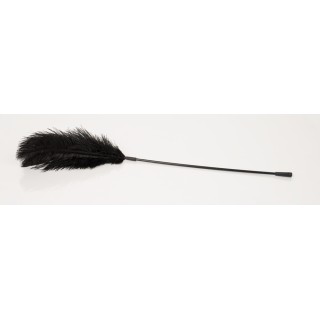 Black feather Bad Kitty - Bad Kitty | Toy4Love
